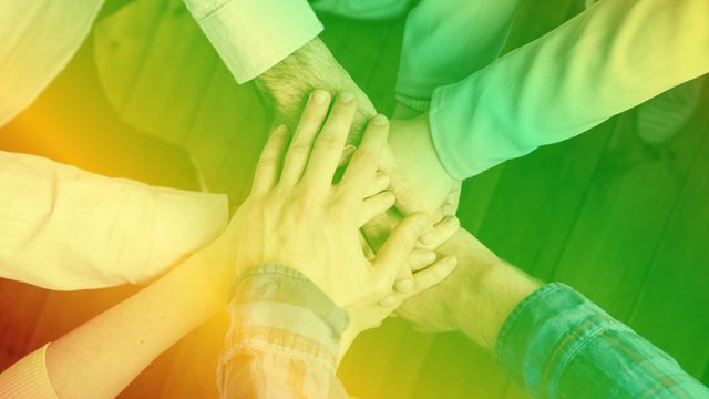 Equipo de trabajo uniendo las manos sobre una mesa, símbolo del trabajo colaborativo de Papaya Digital